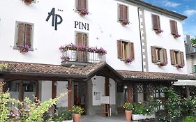 Hotel Pini